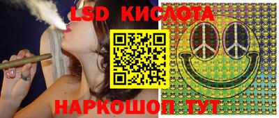 ГАЛЛЮЦИНОГЕННЫЕ ГРИБЫ Свободный