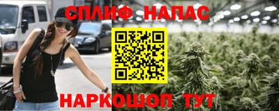 ГАЛЛЮЦИНОГЕННЫЕ ГРИБЫ Свободный