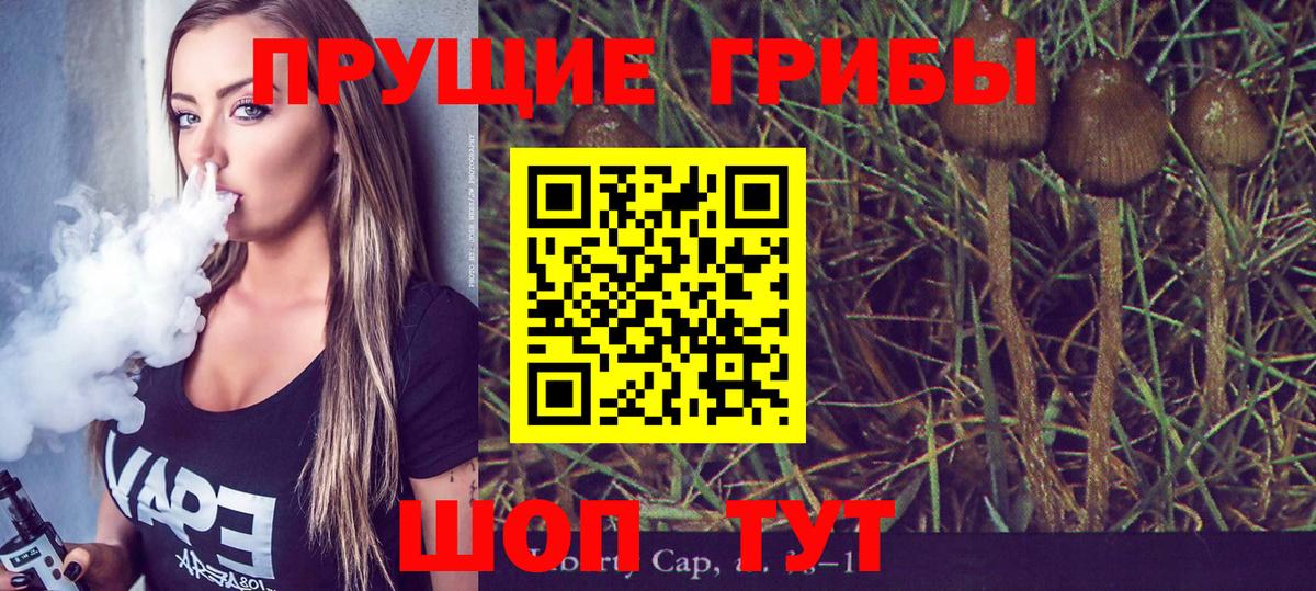 Псилоцибиновые грибы Psilocybe Россошь