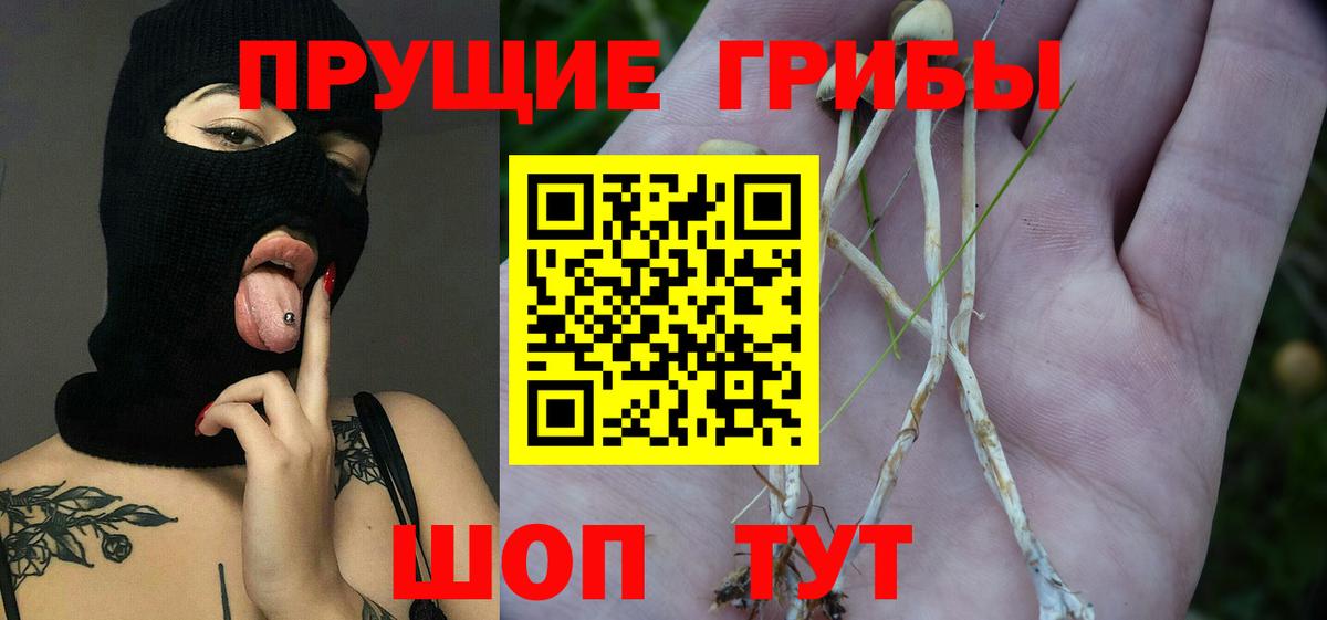 Россошь  дарнет шоп  Вход с VPN  Галлюциногенные грибы мухоморы  Псилоцибиновые грибы Cubensis 